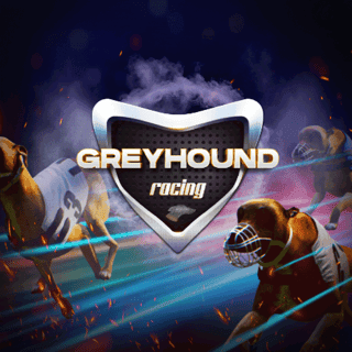 Virtual Greyhounds game cover